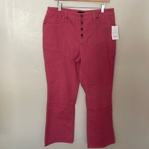 NWT Daily Thread Jolie Clay Wash Jean. Size 16W